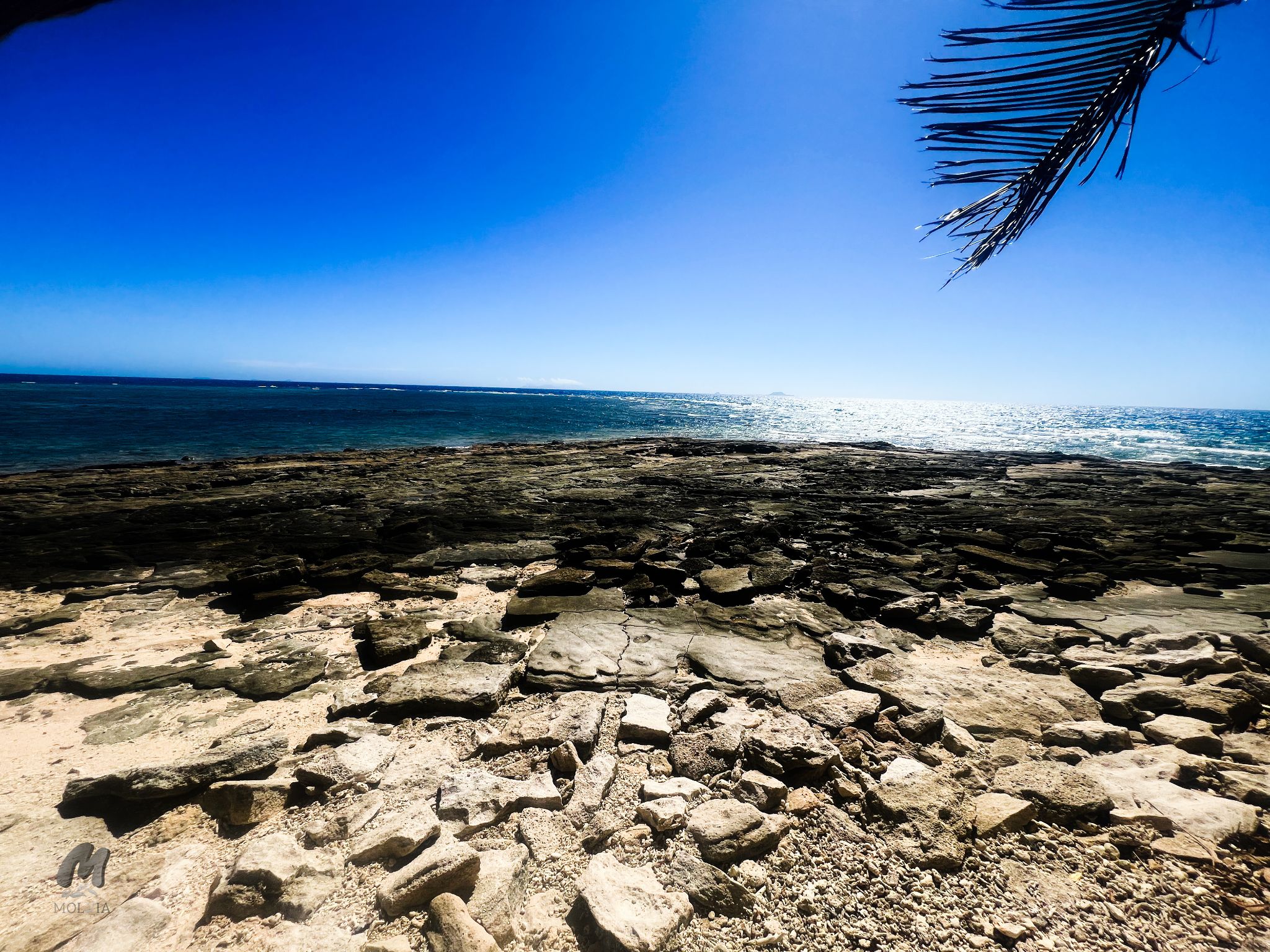 Beachcomber Island